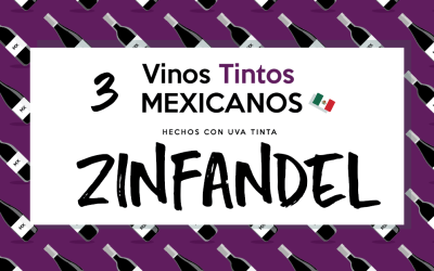 3 Vinos Tintos Mexicanos de ZINFANDEL