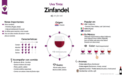 Zinfandel grapes in Mexico – Recommendation