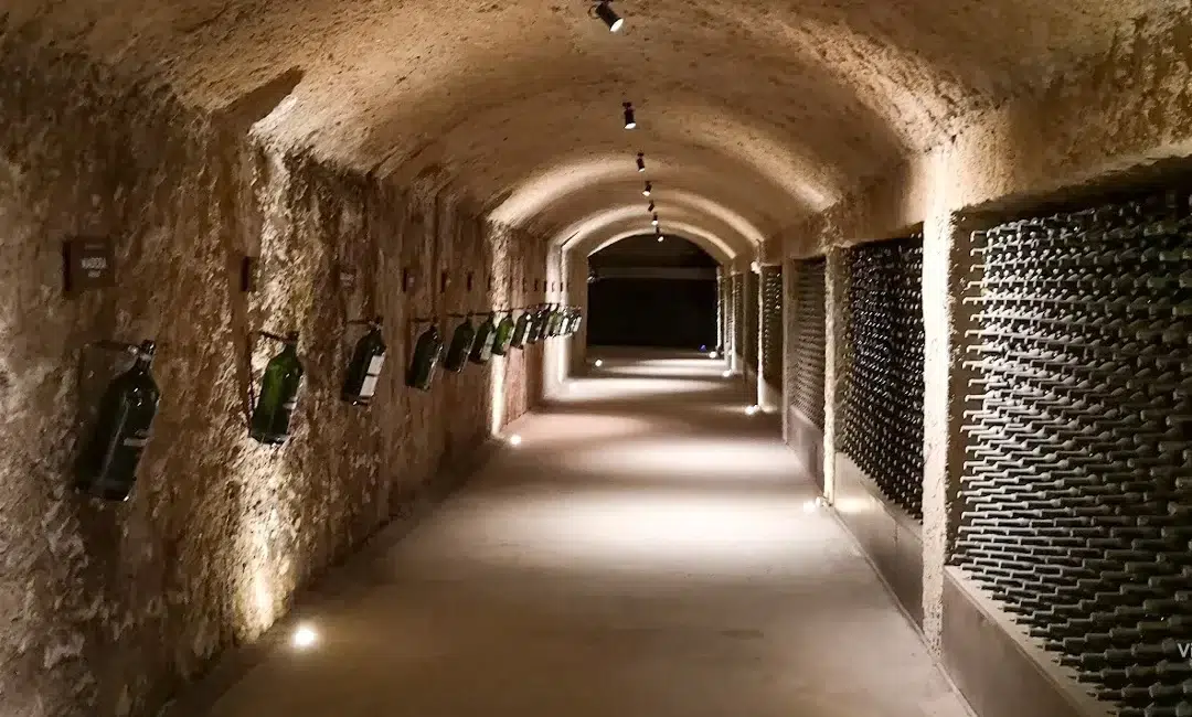 Bodegas Domecq