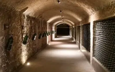 Bodegas Domecq