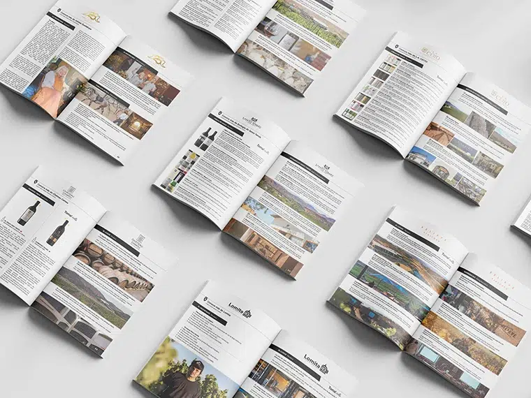 paginas internas vinitacora ejemplo 2