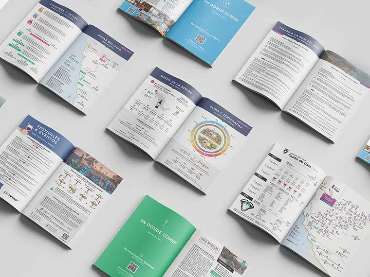 paginas internas vinitacora ejemplo 3