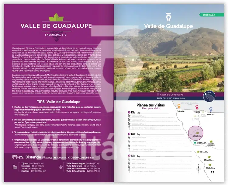 valle de guadalupe ejemplo vinitacora