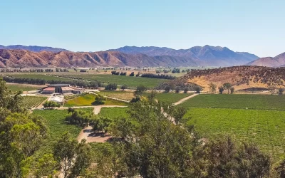 Bodegas de Santo Tomás