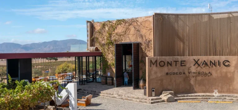 montexanic-valledeguadalupe-bajacalifornia-19